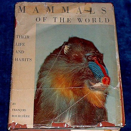 MAMMALS OF THE WORLD Their Life and Habits 1953