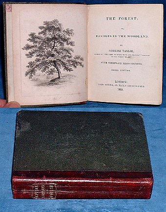 Taylor, Jefferys - THE FOREST 1835