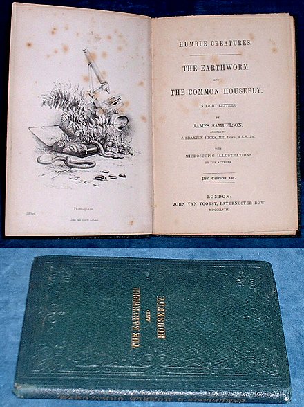 HUMBLE CREATURES. The Earthworm and Common Housefly 1858