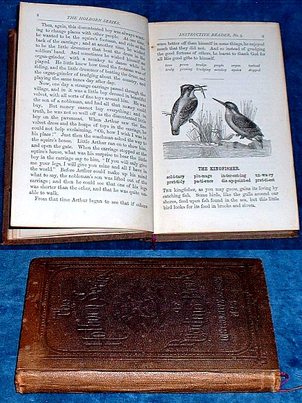 Dawe - INSTRUCTIVE READER Book III illustrated c. 1877