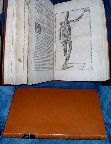 Eustachius, Bartholoma - TABULAE ANATOMICAE clarissimi Viri Bartholomaei Eustachii .. 1728