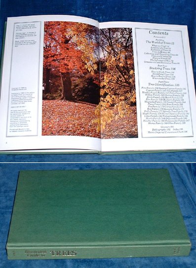 Gorer,Richard - ILLUSTRATED GUIDE TO TREES