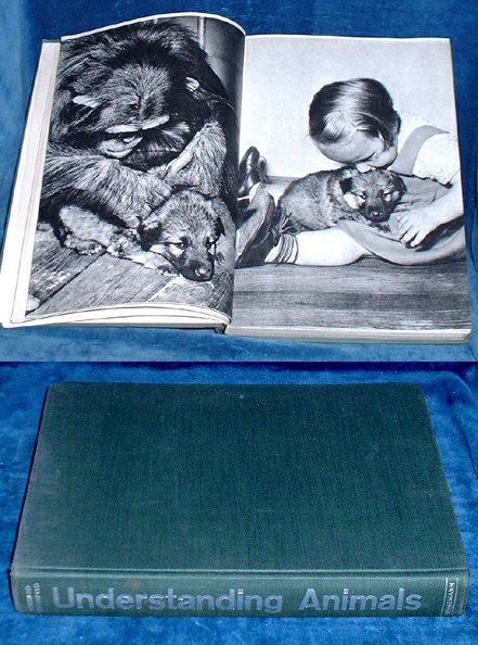 Gronefeld, Gerhard translated by Gwynne Vevers & Winwood Reade - UNDERSTANDING ANIMALS Text and photographs by Gerhard Gronefeld