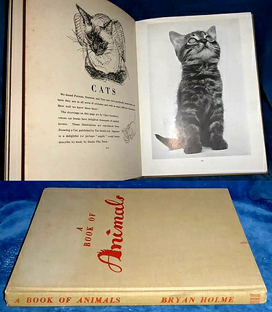 Holme, Bryan - A BOOK OF ANIMALS cats dogs horses birds farm and zoo animals