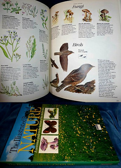 Crush, Margaret (compiling editor) - THE ILLUSTRATED BOOK OF NATURE A seasonal guide to the habitats of the British Isles.
