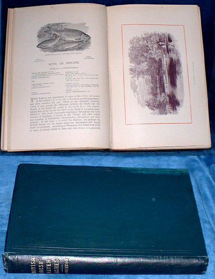 Houghton, Rev. W[illiam] (1828-1895) - BRITISH FRESH-WATER FISHES by the Rev. W. Houghton, M.A., F.L.S. Author of 