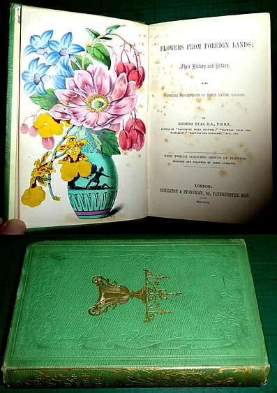 Tyas, Robert (1811-1879) - FLOWERS FROM FOREIGN LANDS; Their History and Botany, with concise descriptions of their native regions .. with twelve coloured groups of flowers, designed and coloured by James Andrews.
